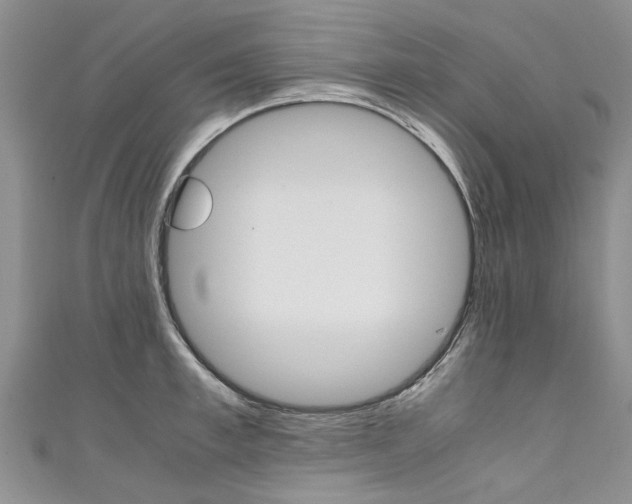 X0000111430997200907131037