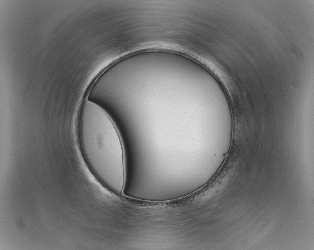 X0000111430999200907131037