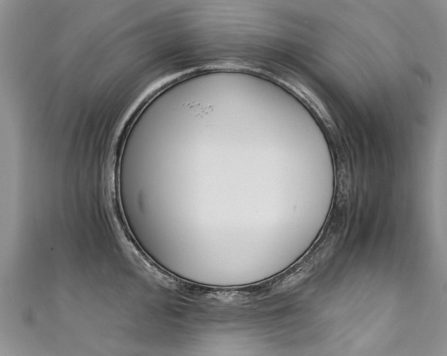 X0000111431000200907131037