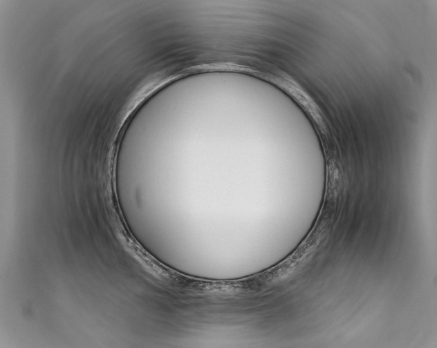 X0000111431002200907131037