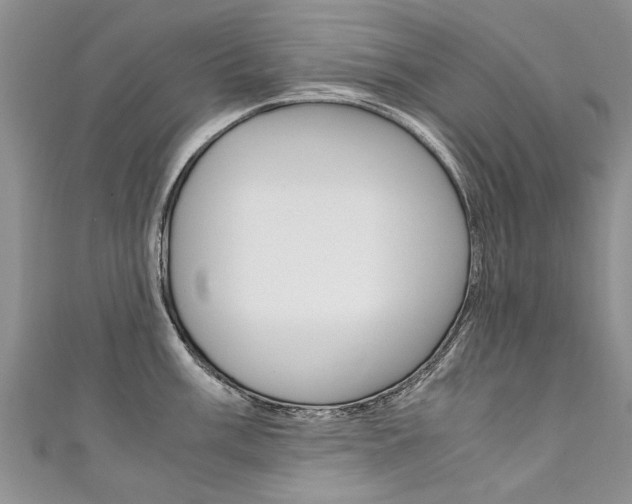 X0000111431003200907131037