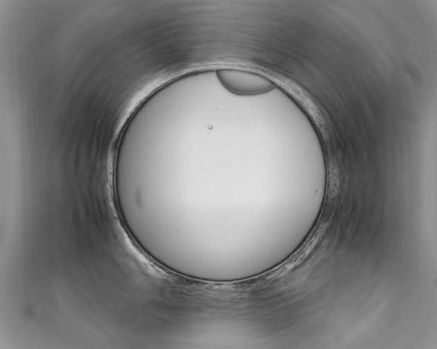 X0000111431006200907131036