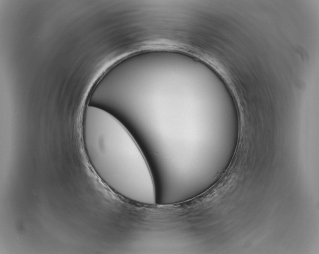 X0000111431008200907131036