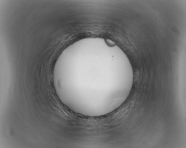 X0000111431009200907131036
