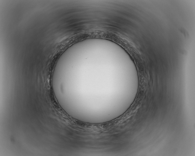 X0000111431013200907131036