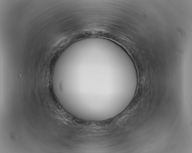 X0000111431014200907131036