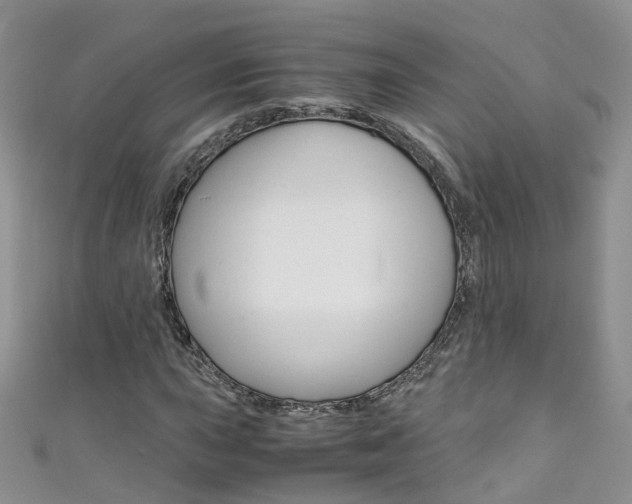 X0000111431015200907131036