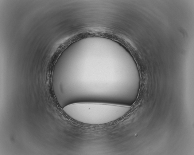 X0000111431016200907131036