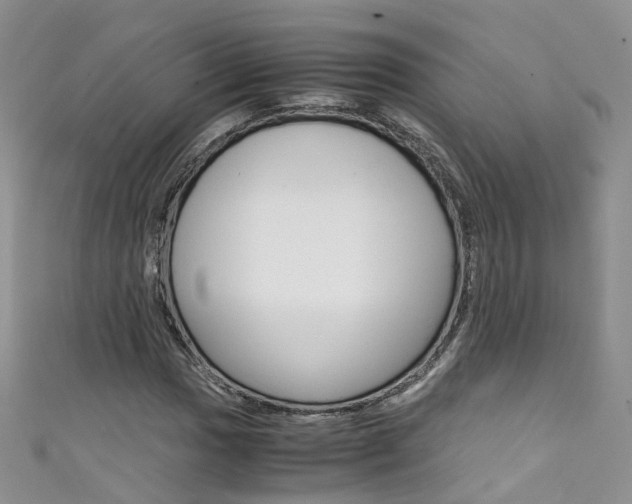 X0000111431017200907131036
