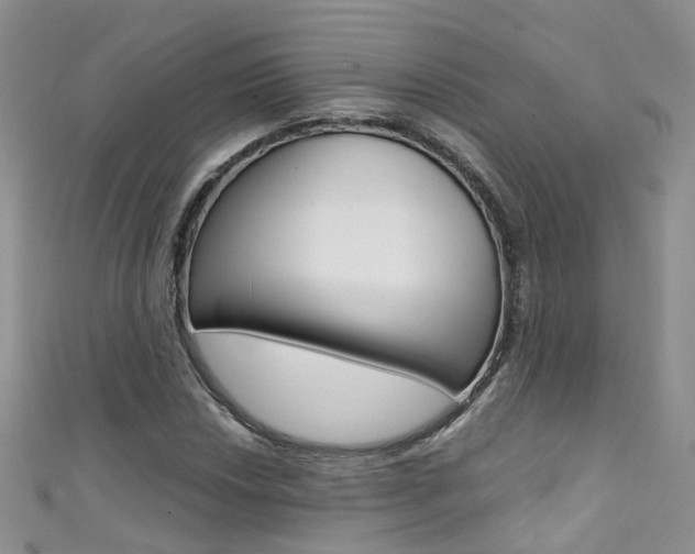 X0000111431018200907131036