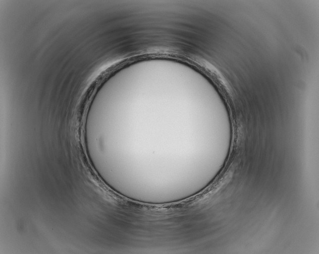 X0000111431019200907131036
