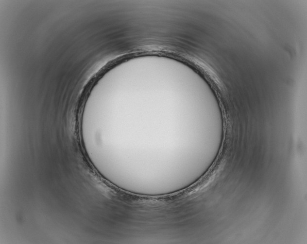 X0000111431023200907131036
