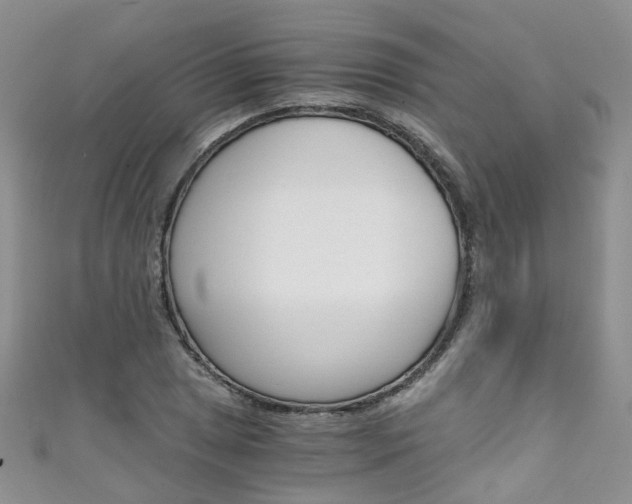 X0000111431025200907131036