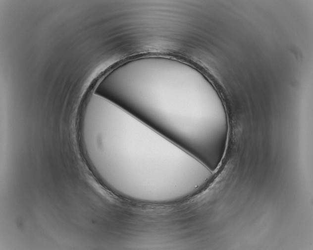 X0000111431026200907131036