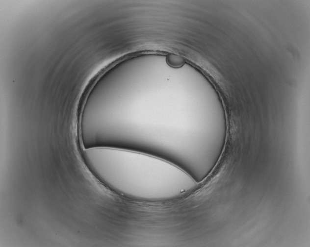X0000111431028200907131036
