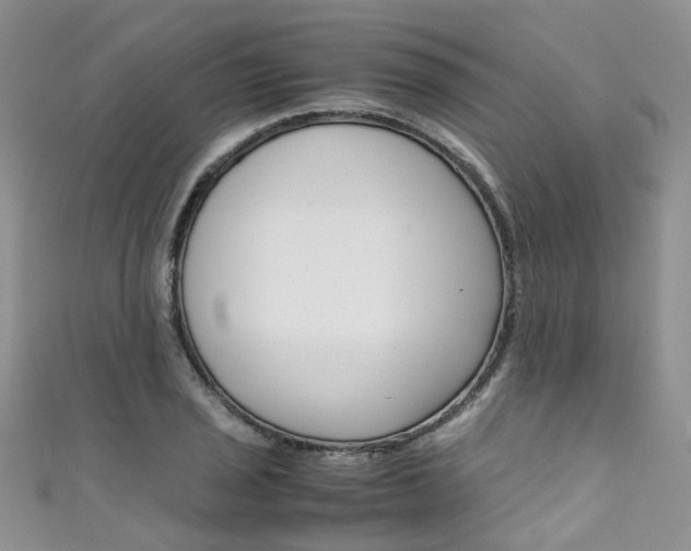 X0000111431029200907131036