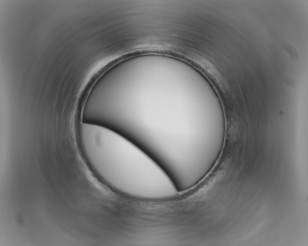 X0000111431030200907131036