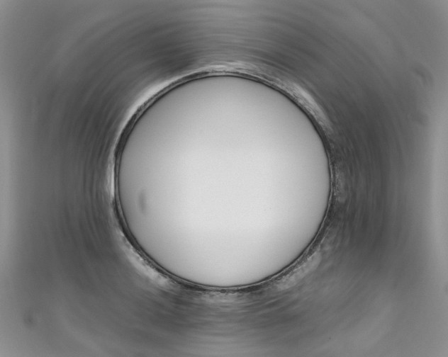 X0000111431036200907131036