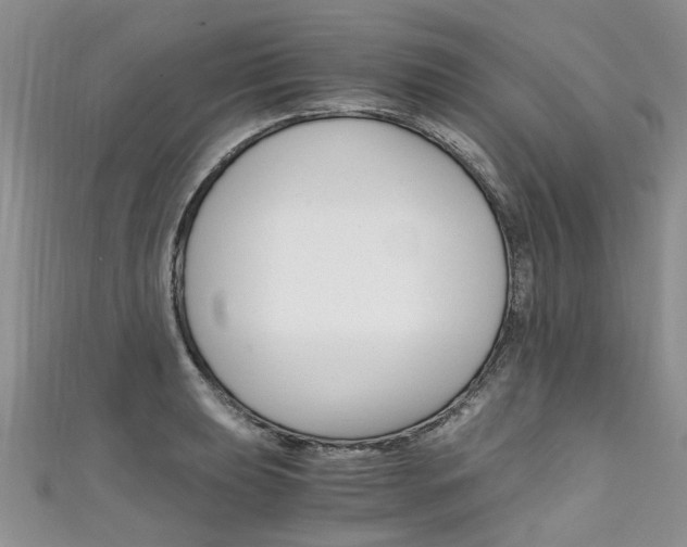 X0000111431039200907131036