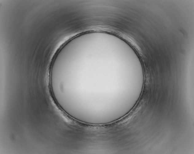 X0000111431040200907131036