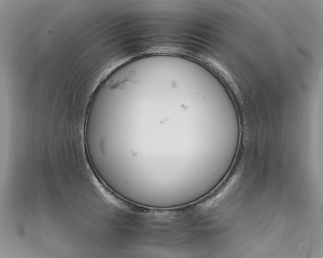 X0000111431041200907131036
