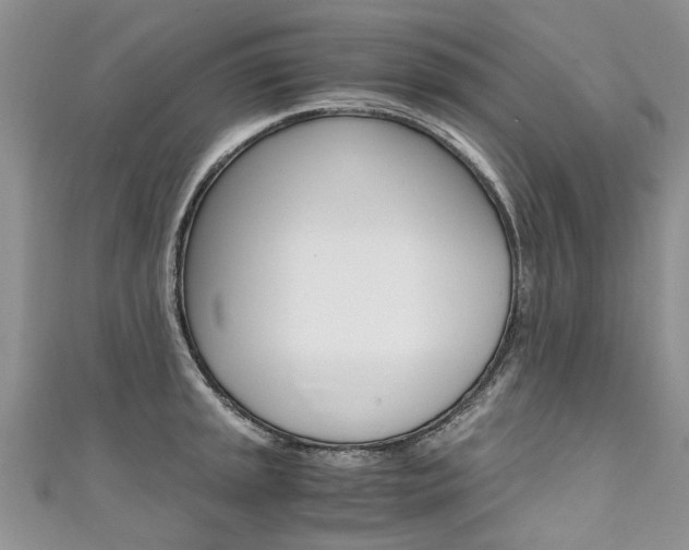 X0000111431045200907131036