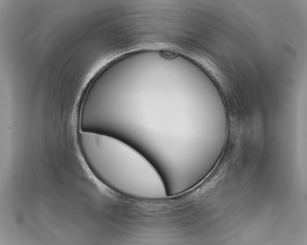 X0000111431046200907131036