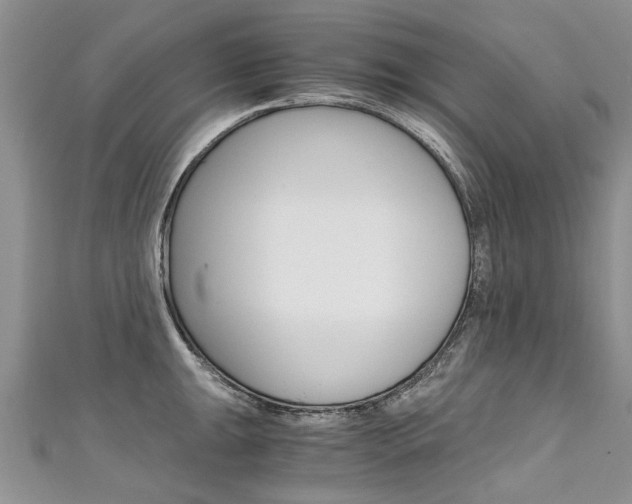X0000111431047200907131036