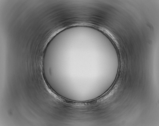 X0000111431049200907131036