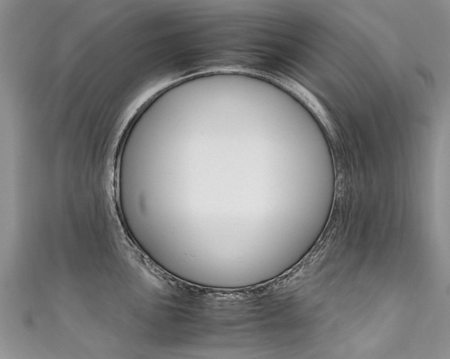 X0000111431051200907131036