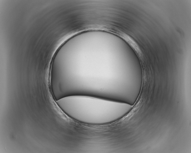 X0000111431052200907131036