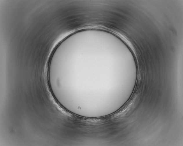X0000111431053200907131036