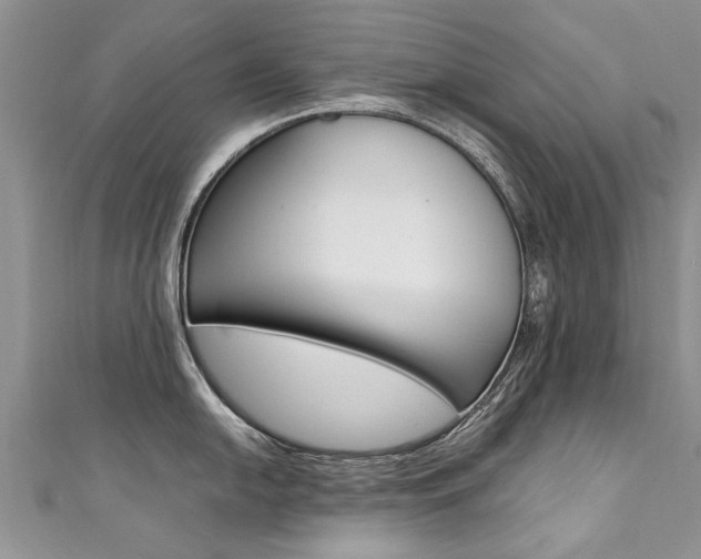 X0000111431054200907131036