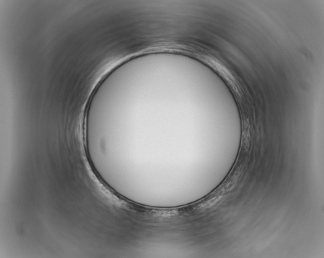 X0000111431055200907131036