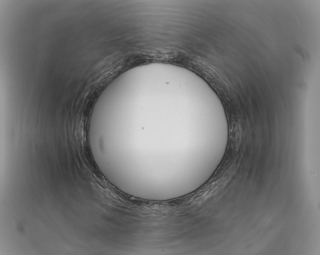 X0000111431058200907131036