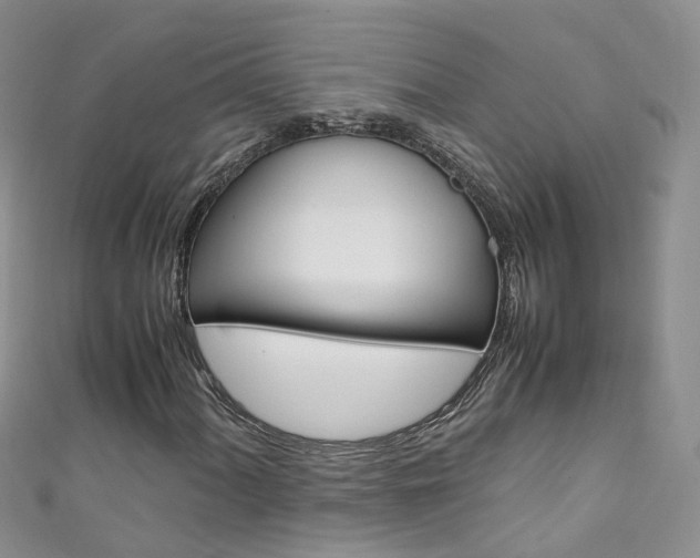 X0000111431060200907131036