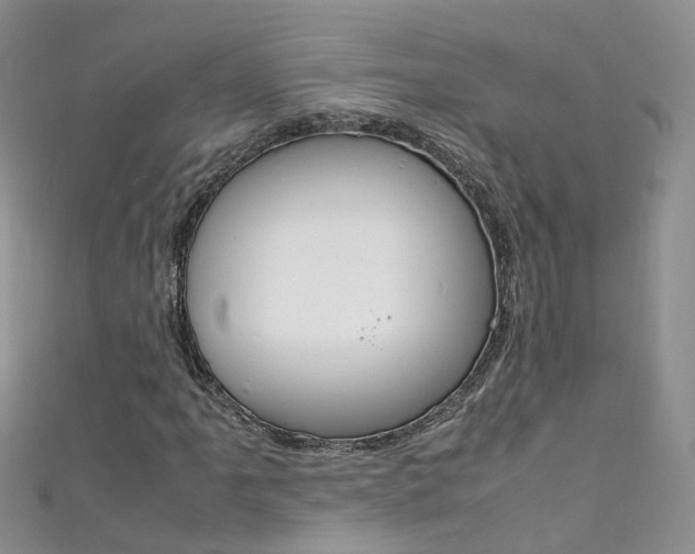 X0000111431061200907131036