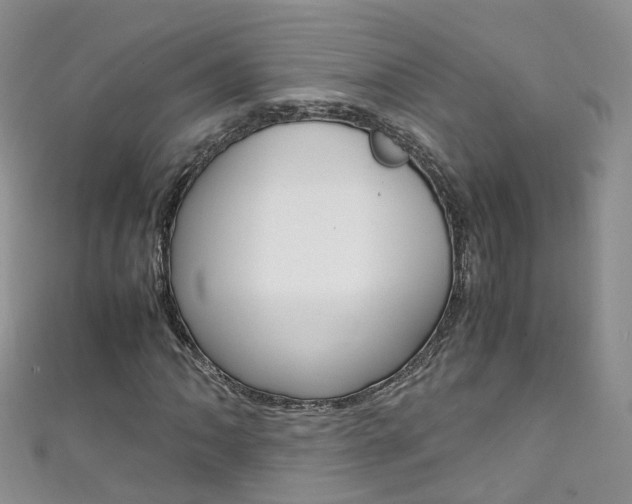 X0000111431062200907131036