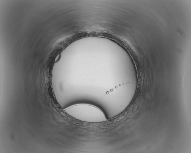 X0000111431063200907131036