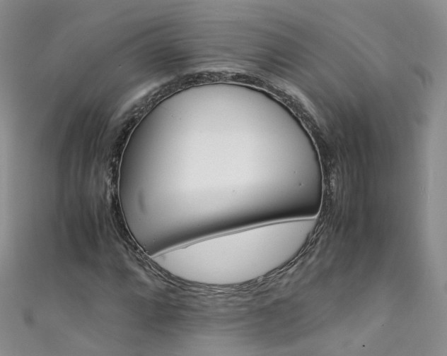 X0000111431064200907131036