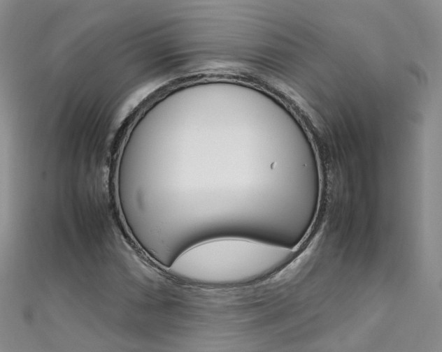 X0000111431066200907131036