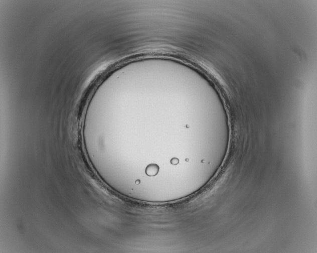 X0000111431067200907131036