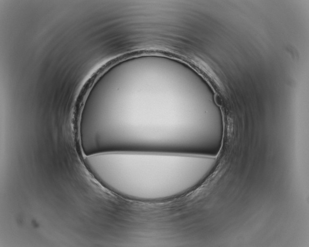 X0000111431068200907131036