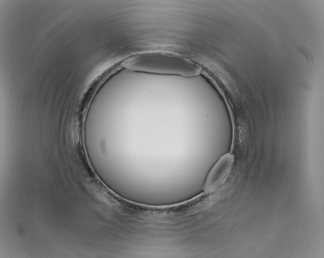 X0000111431069200907131036