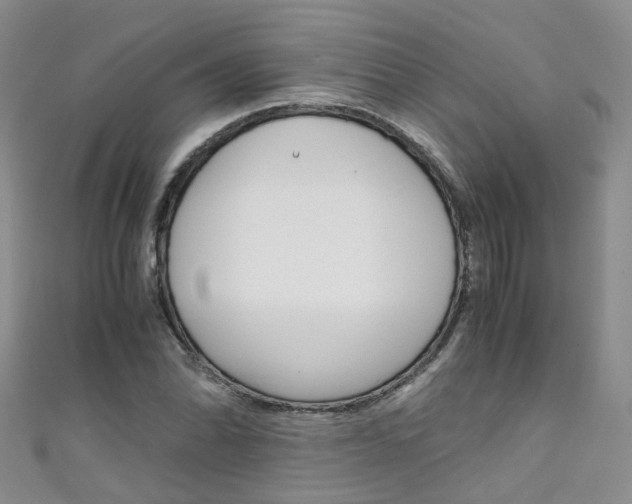 X0000111431070200907131036