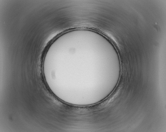 X0000111431071200907131036