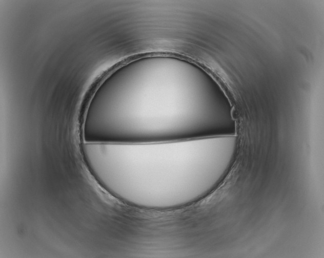 X0000111431072200907131036
