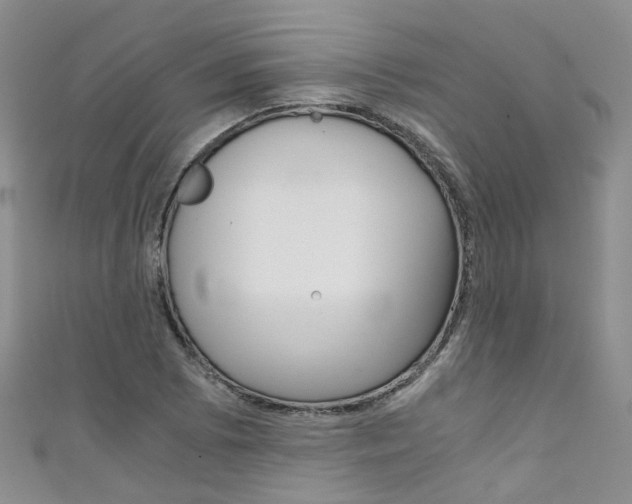 X0000111431073200907131036