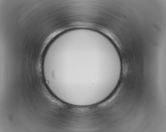 X0000111431074200907131036