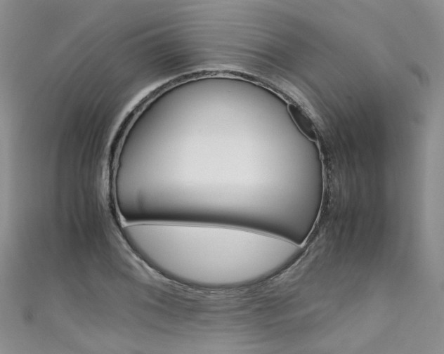 X0000111431076200907131036
